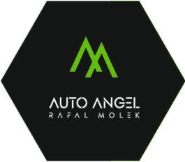 Auto Angel Logo